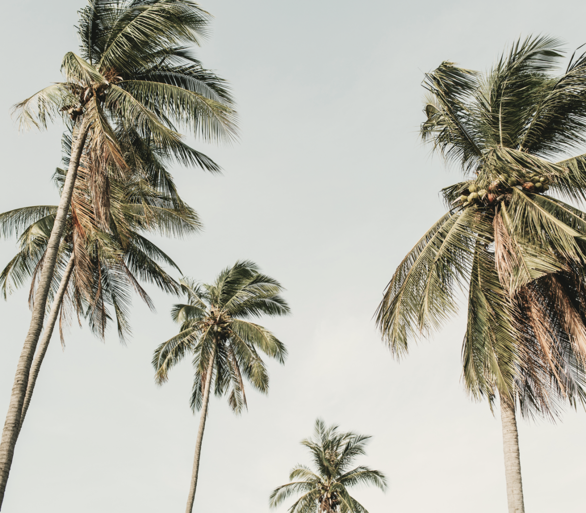 honeymoon cash registry